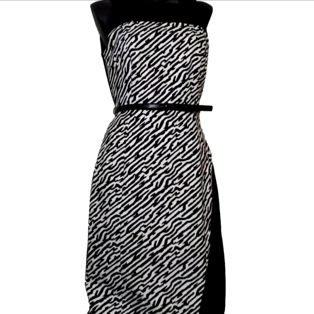 Classiques Entier Women Size 4 Zebra Print Sleevless Bodycon Midi Dress B22#9